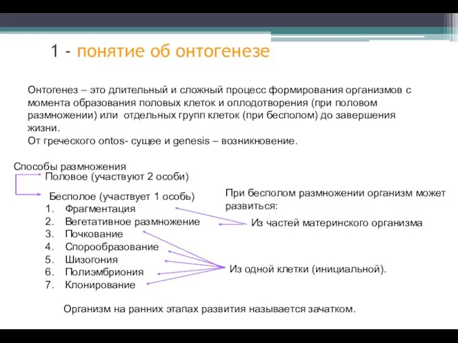 Онтогенез – это длительный и сложный процесс формирования организмов с