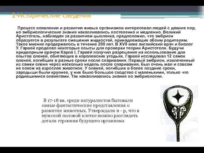 2-Исторические сведения В 17-18 вв. среди натуралистов бытовали самые фантастические