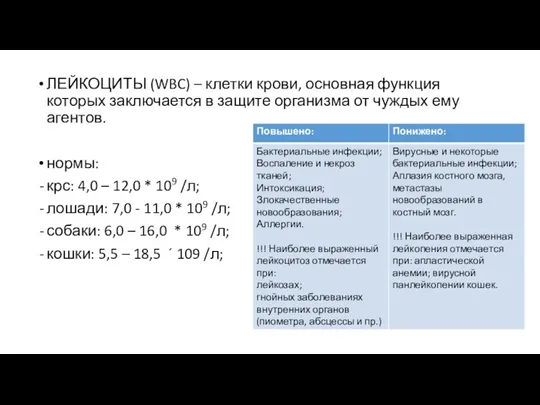 ЛЕЙКОЦИТЫ (WBC) – клетки крови, основная функция которых заключается в