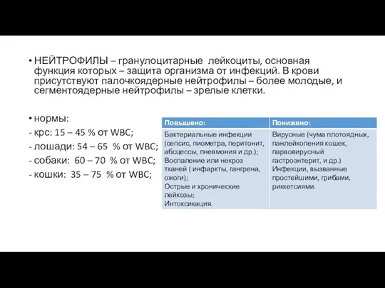 НЕЙТРОФИЛЫ – гранулоцитарные лейкоциты, основная функция которых – защита организма