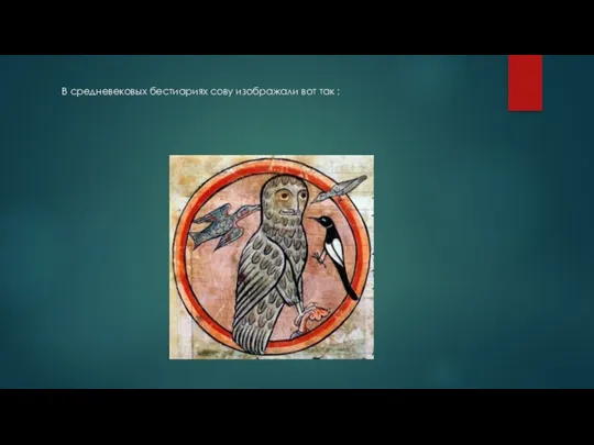 В средневековых бестиариях сову изображали вот так :