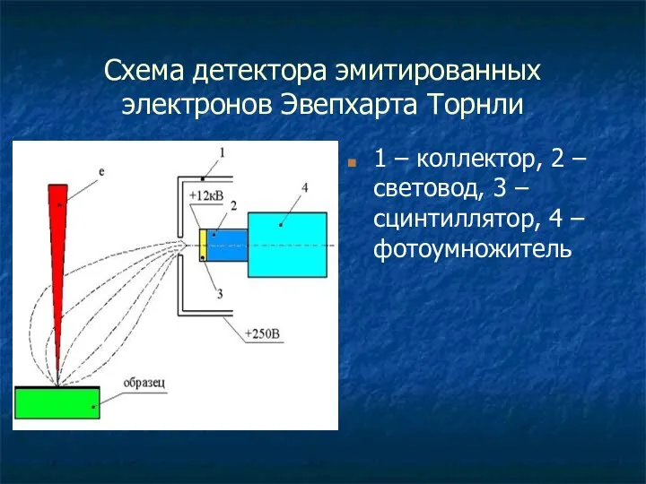 Схема детектора эмитированных электронов Эвепхарта Торнли 1 – коллектор, 2