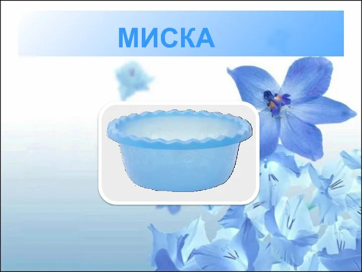 МИСКА