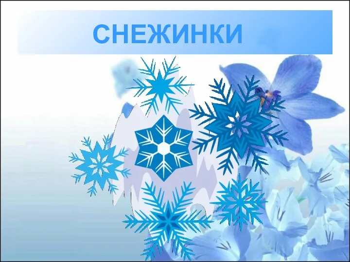 СНЕЖИНКИ