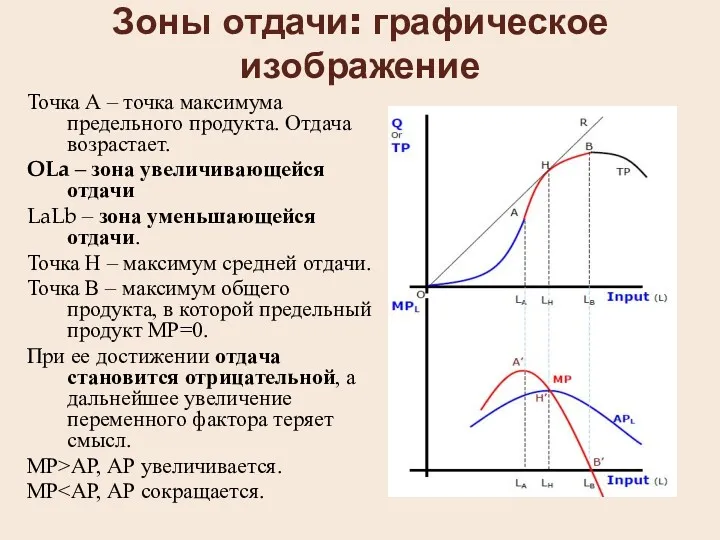 Зоны отдачи: графическое изображение Точка А – точка максимума предельного