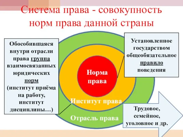 Система права - совокупность норм права данной страны Норма права