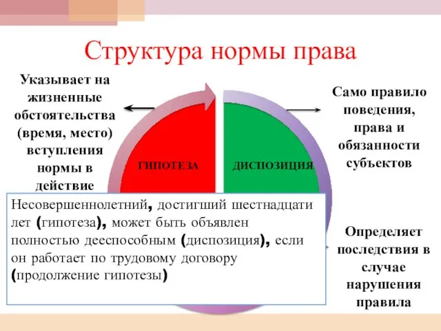 Структура нормы права Указывает на жизненные обстоятельства (время, место) вступления