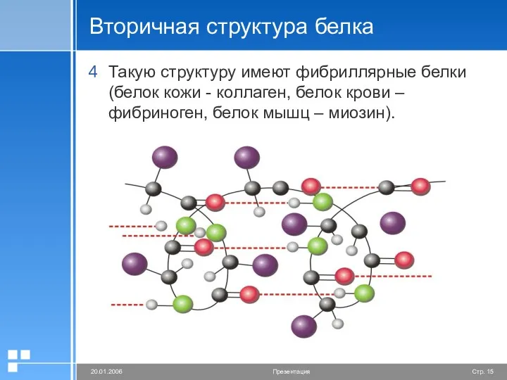 Вторичная структура белка Такую структуру имеют фибриллярные белки (белок кожи