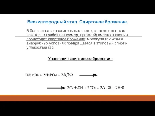 Бескислородный этап. Спиртовое брожение. В большинстве растительных клеток, а также