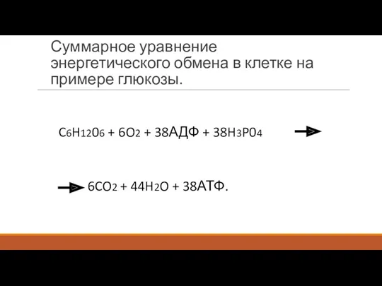 Суммарное уравнение энергетического обмена в клетке на примере глюкозы. C6H1206