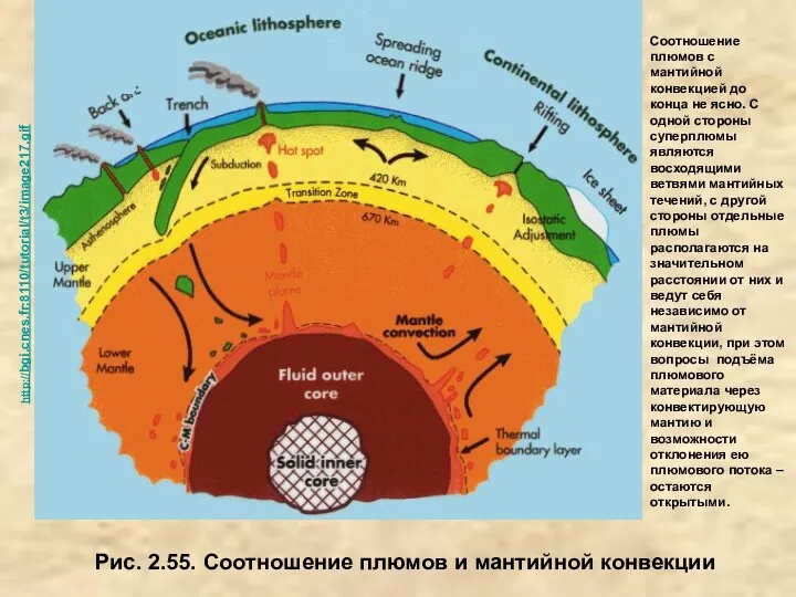 Рис. 2.55. Соотношение плюмов и мантийной конвекции http://bgi.cnes.fr:8110/tutorial/t3/image217.gif Соотношение плюмов