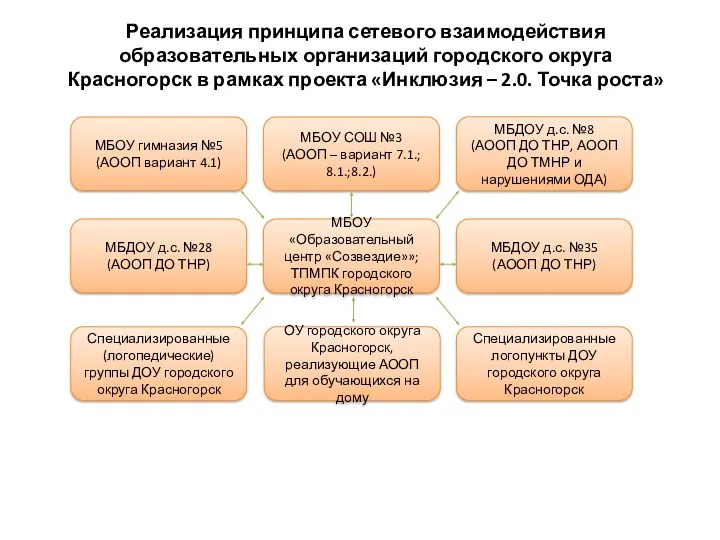 Реализация принципа сетевого взаимодействия образовательных организаций городского округа Красногорск в