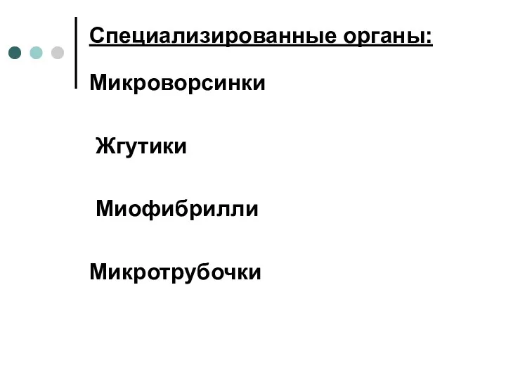 Специализированные органы: Микроворсинки Жгутики Миофибрилли Микротрубочки