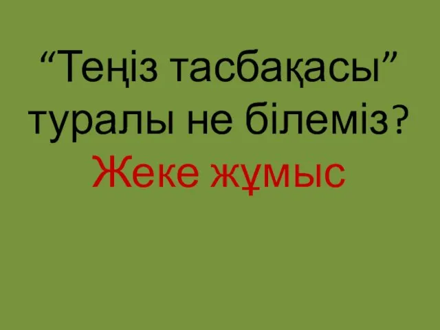 “Теңіз тасбақасы” туралы не білеміз? Жеке жұмыс