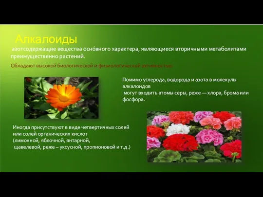 азотсодержащие вещества оснóвного характера, являющиеся вторичными метаболитами преимущественно растений. Обладают