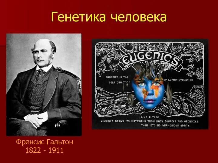 Генетика человека Френсис Гальтон 1822 - 1911