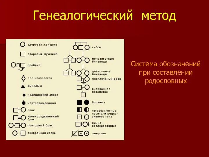 Генеалогический метод Система обозначений при составлении родословных