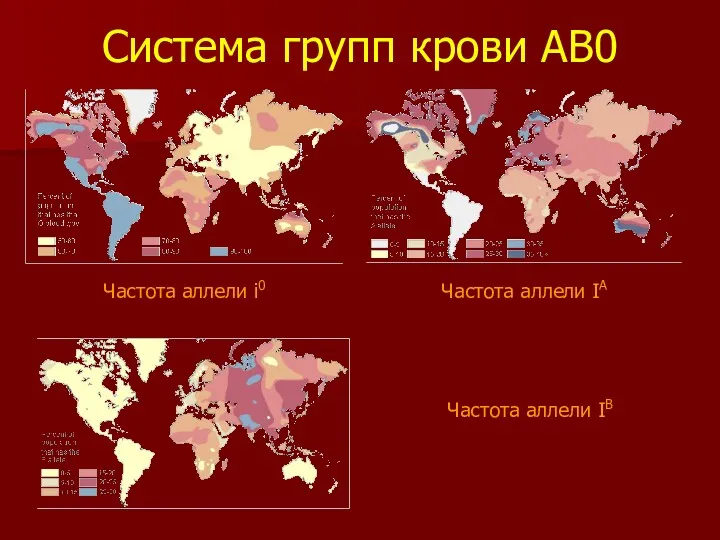 Система групп крови АВ0 Частота аллели i0 Частота аллели IA Частота аллели IВ