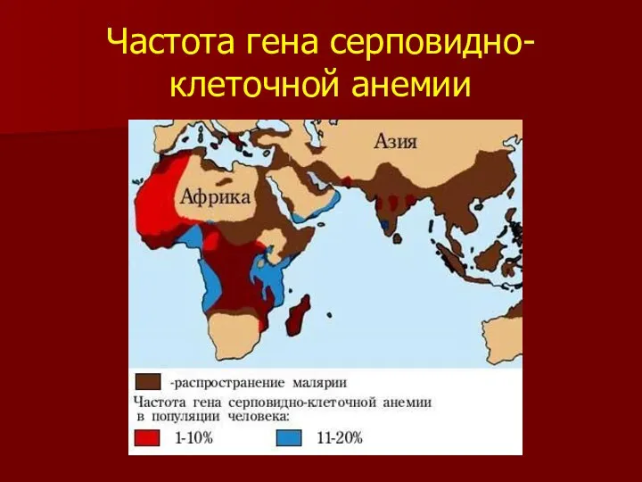 Частота гена серповидно-клеточной анемии