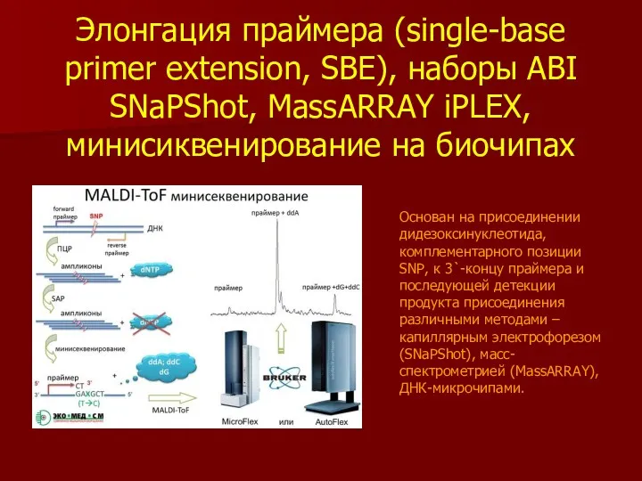 Элонгация праймера (single-base primer extension, SBE), наборы ABI SNaPShot, MassARRAY