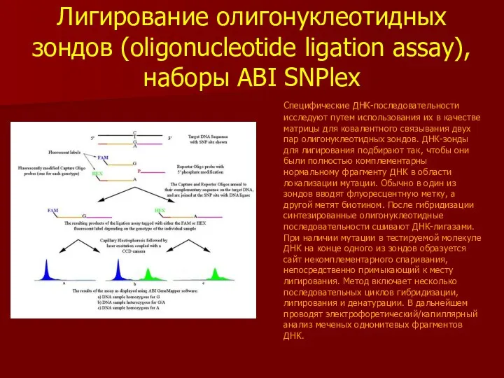 Лигирование олигонуклеотидных зондов (oligonucleotide ligation assay), наборы ABI SNPlex Специфические