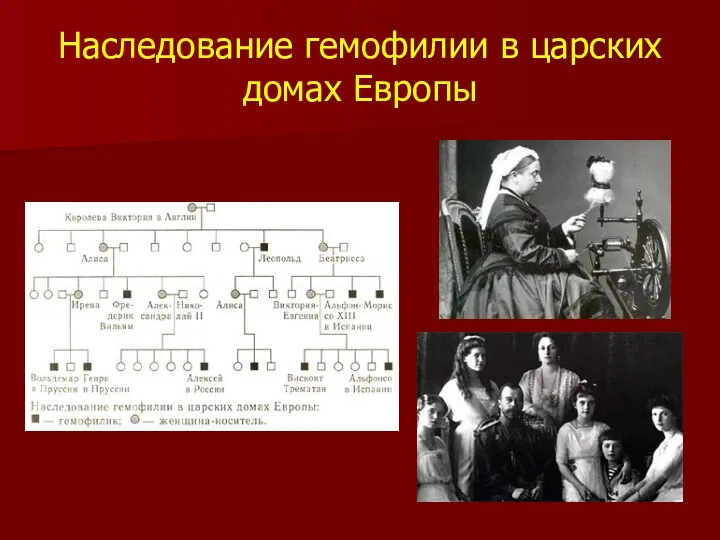 Наследование гемофилии в царских домах Европы