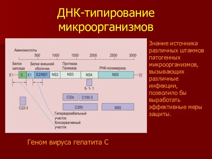 ДНК-типирование микроорганизмов Знание источника различных штаммов патогенных микроорганизмов, вызывающих различные