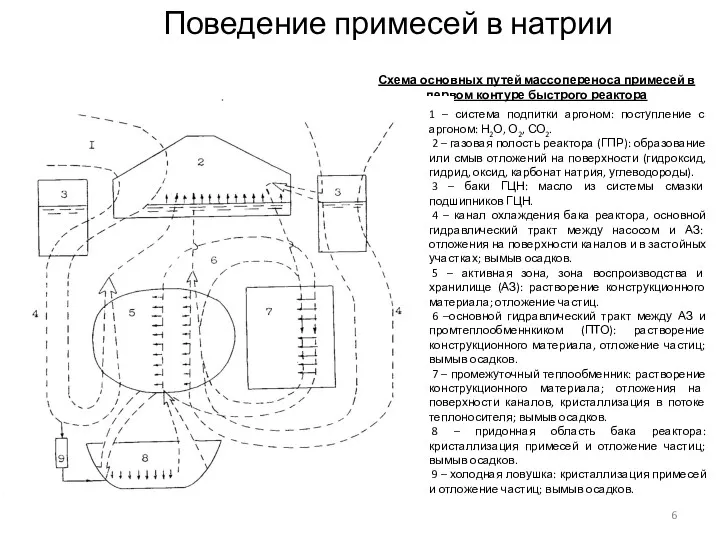 Схема основных путей массопереноса примесей в первом контуре быстрого реактора 1 – система