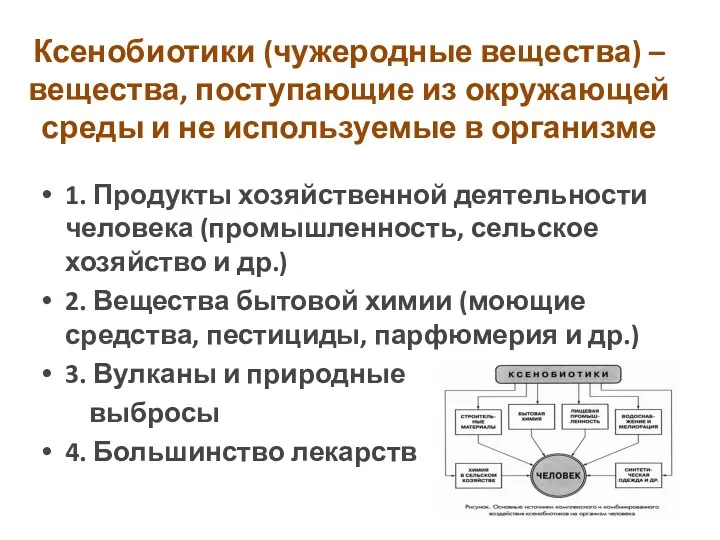 Ксенобиотики (чужеродные вещества) – вещества, поступающие из окружающей среды и