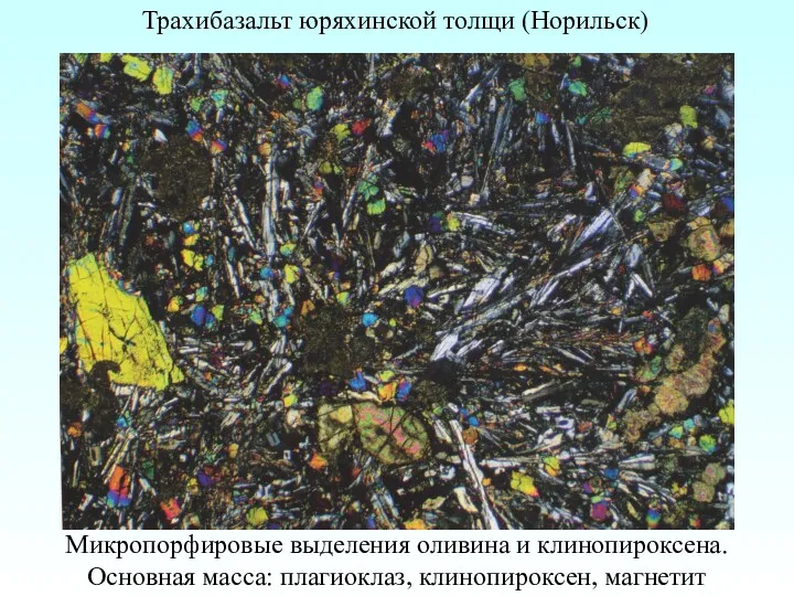 Трахибазальт юряхинской толщи (Норильск) Микропорфировые выделения оливина и клинопироксена. Основная масса: плагиоклаз, клинопироксен, магнетит