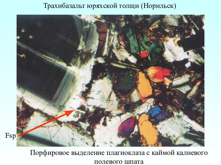 Трахибазальт юряхской толщи (Норильск) Порфировое выделение плагиоклаза с каймой калиевого полевого шпата