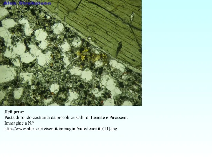 Лейцитит. Pasta di fondo costituita da piccoli cristalli di Leucite e Pirosseni. Immagine a N// http://www.alexstrekeisen.it/immagini/vulc/leucitite(11).jpg
