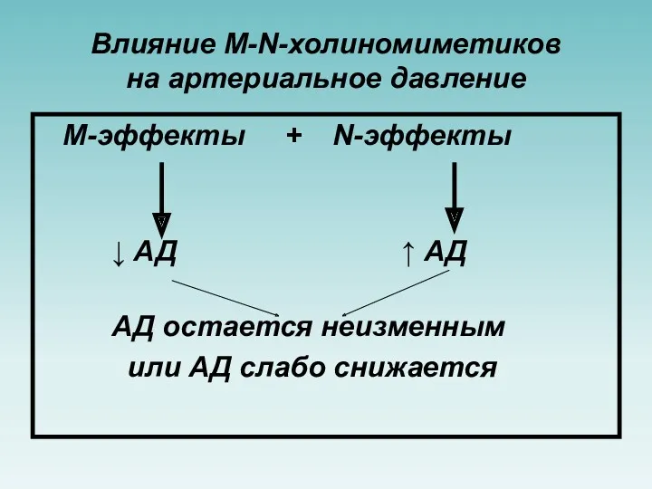 Влияние M-N-холиномиметиков на артериальное давление М-эффекты + N-эффекты ↓ АД