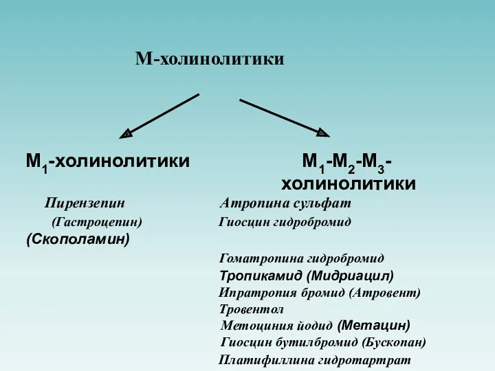 М-холинолитики М1-холинолитики М1-М2-М3- холинолитики Пирензепин Атропина сульфат (Гастроцепин) Гиосцин гидробромид