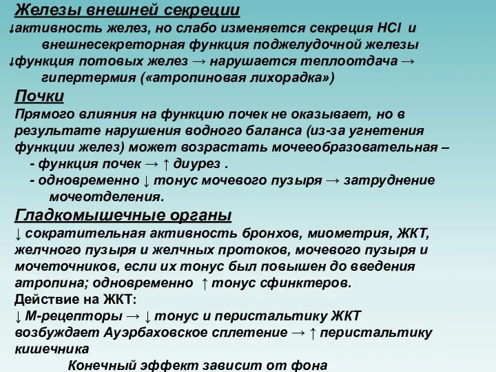 Железы внешней секреции активность желез, но слабо изменяется секреция HCl