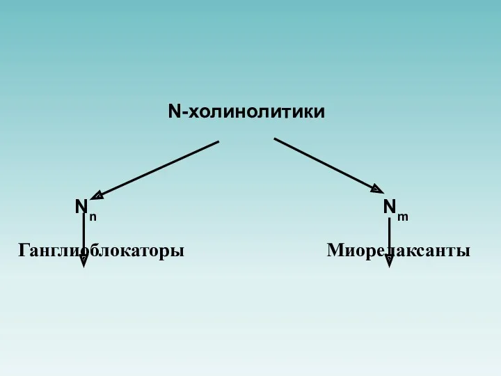 N-холинолитики Nn Nm Ганглиоблокаторы Миорелаксанты