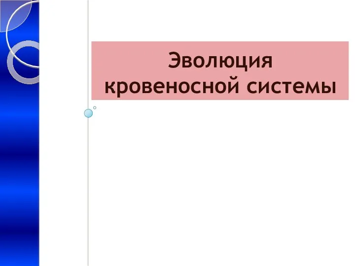 Эволюция кровеносной системы