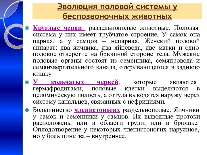 Эволюция половой системы у беспозвоночных животных Круглые черви раздельнополые животные.