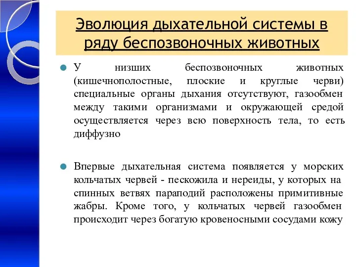 Эволюция дыхательной системы в ряду беспозвоночных животных У низших беспозвоночных