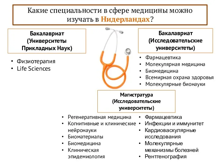 Какие специальности в сфере медицины можно изучать в Нидерландах? Бакалавриат