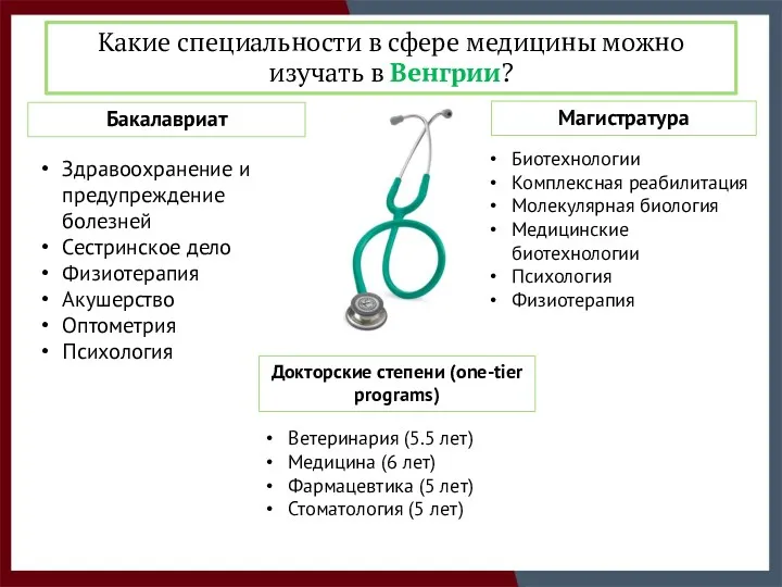 Какие специальности в сфере медицины можно изучать в Венгрии? Бакалавриат