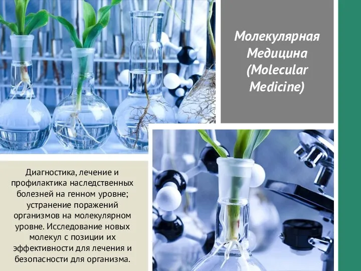 Молекулярная Медицина (Molecular Medicine) Диагностика, лечение и профилактика наследственных болезней