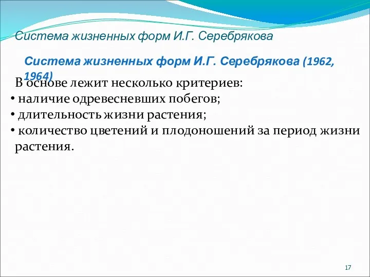 Система жизненных форм И.Г. Серебрякова В основе лежит несколько критериев: