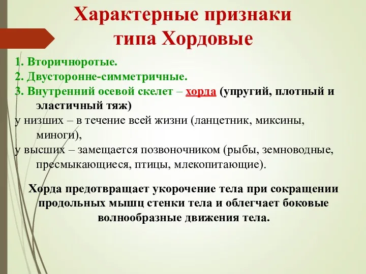 Характерные признаки типа Хордовые Хорда предотвращает укорочение тела при сокращении продольных мышц стенки