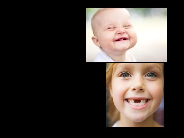 Зубы впервые появляются на 6 – 8 месяце после рождения.