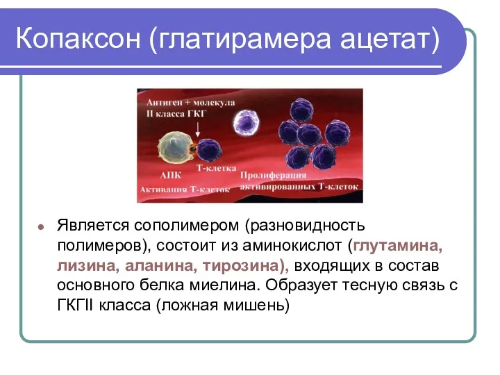 Копаксон (глатирамера ацетат) Является сополимером (разновидность полимеров), состоит из аминокислот