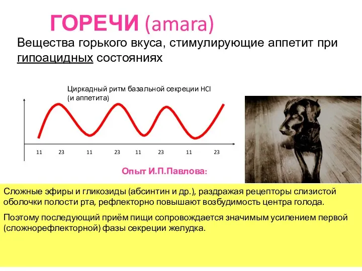 ГОРЕЧИ (amara) Вещества горького вкуса, стимулирующие аппетит при гипоацидных состояниях