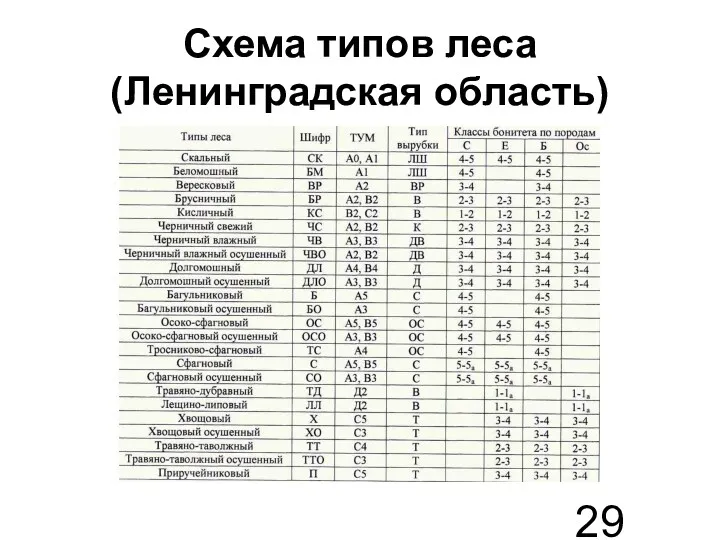 Схема типов леса (Ленинградская область)