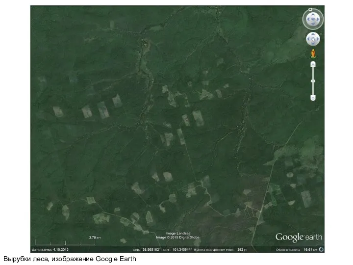 Вырубки леса, изображение Google Earth
