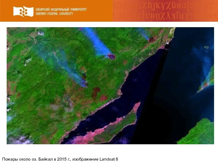 Пожары около оз. Байкал в 2015 г., изображение Landsat 8